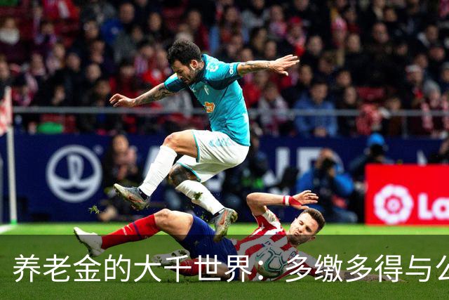 养老金的大千世界：多缴多得与公平的微妙舞蹈